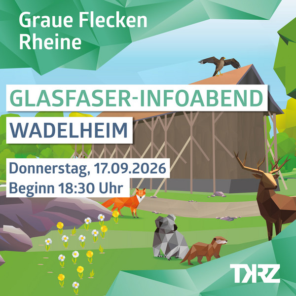 Glasfaser-Infoabend für Wadelheim am 17. September