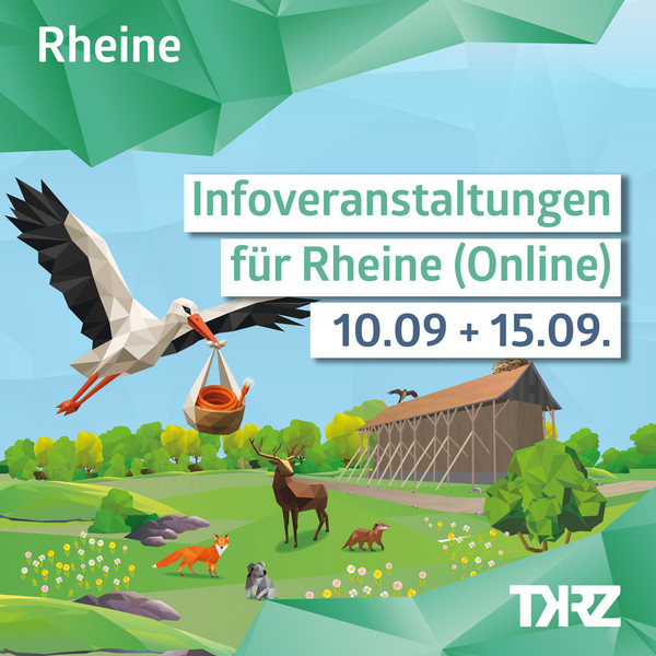 Infoveranstaltungen für Rheine
