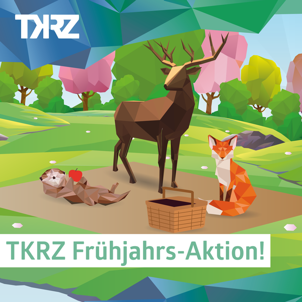 Frühjahrsmarkt Aktion