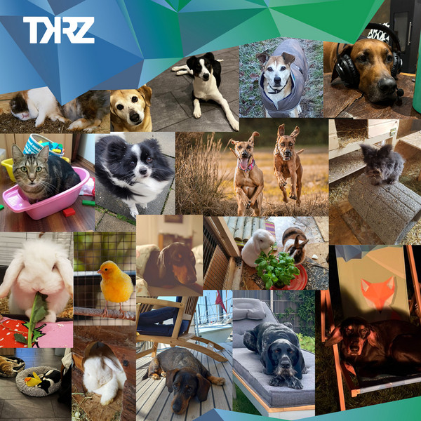 Dürfen wir vorstellen: Unsere tierische Unterstützung!